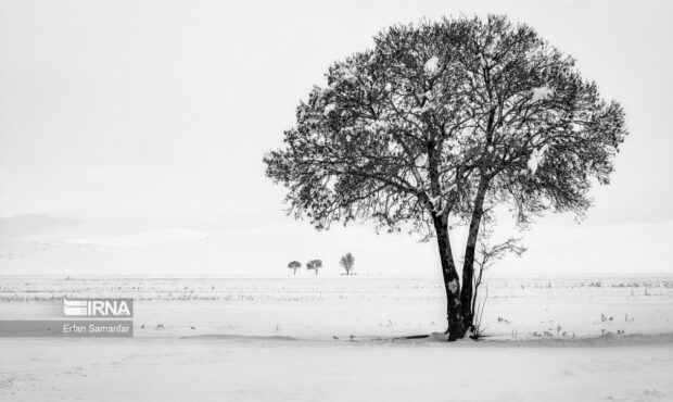 احتمال تکرار سرمای غیرعادی زمستانی در سمنان و ضرورت مصرف بهینه انرژی احتمال تکرار سرمای غیرعادی زمستانی در سمنان و ضرورت مصرف بهینه انرژی