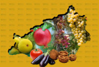 افزایش ۳۰ درصدی جمعیت کشاورزان سمنان در سرشماری/ کسب رتبه برتر در شاخص فنی افزایش ۳۰ درصدی جمعیت کشاورزان سمنان در سرشماری/ کسب رتبه برتر در شاخص فنی