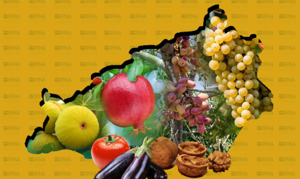 افزایش ۳۰ درصدی جمعیت کشاورزان سمنان در سرشماری/ کسب رتبه برتر در شاخص فنی افزایش ۳۰ درصدی جمعیت کشاورزان سمنان در سرشماری/ کسب رتبه برتر در شاخص فنی