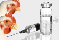 تثبیت جایگاه برتر کشوری سمنان با صدور مجور تولید ۱۰۵ داروی جدید دامپزشکی