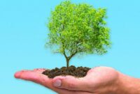 اجرای پویش درختکاری در استان سمنان