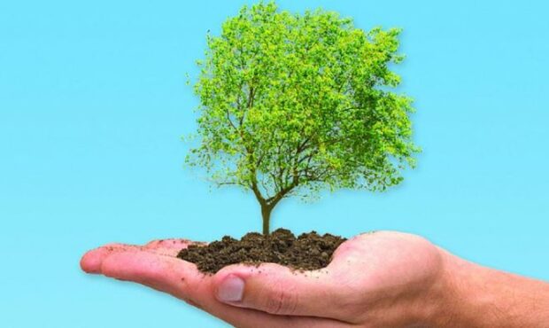 اجرای پویش درختکاری در استان سمنان اجرای پویش درختکاری در استان سمنان