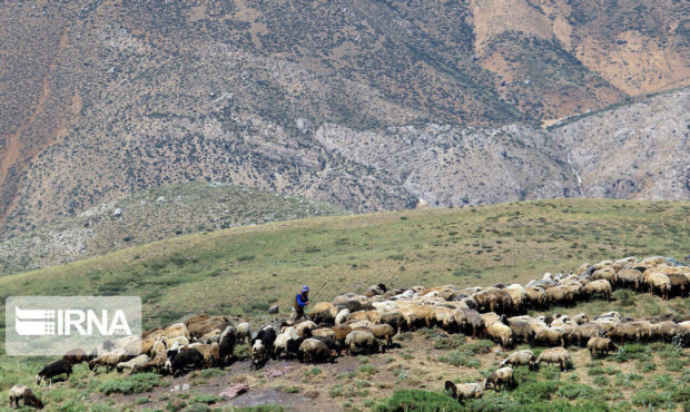 رفع تصرف ۳۰ هزار متر مربع اراضی ملی تا برنامههای احیای مراتع گرمسار رفع تصرف ۳۰ هزار متر مربع اراضی ملی تا برنامههای احیای مراتع گرمسار