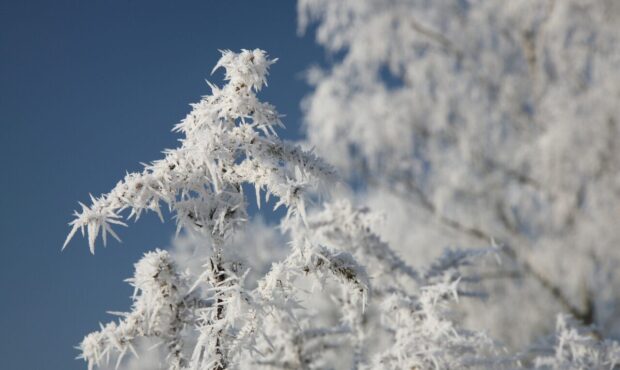 هوای آخر هفته سمنان/ باد و سرما تداوم دارد هوای آخر هفته سمنان/ باد و سرما تداوم دارد