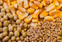 تامین ۲ هزار تن نهاد دامی با پیگیری استاندار سمنان از وزیر جهادکشاورزی