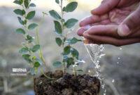 پویش درختکاری با حضور چهره ماندگار ملی در روستاهای بخش مرکزی گرمسار