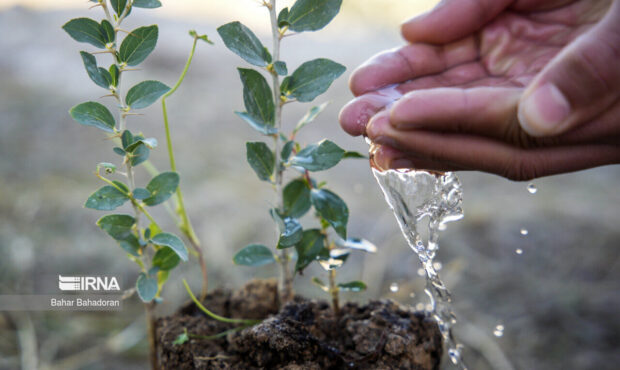 پویش درختکاری با حضور چهره ماندگار ملی در روستاهای بخش مرکزی گرمسار پویش درختکاری با حضور چهره ماندگار ملی در روستاهای بخش مرکزی گرمسار