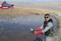 باکلان، مهمانی که به آغوش طبیعت باز می گردد.