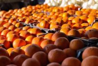 آغاز توزیع ۲۰۰ تن میوه ویژه عید نوروز در سمنان