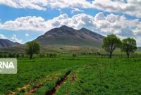 پرهیز از مصرف قارچهای وحشی و سبزیهای صحرایی ناشناخته توصیههای بهداشتی «سیزده به در» پرهیز از مصرف قارچهای وحشی و سبزیهای صحرایی ناشناخته توصیههای بهداشتی «سیزده به در»
