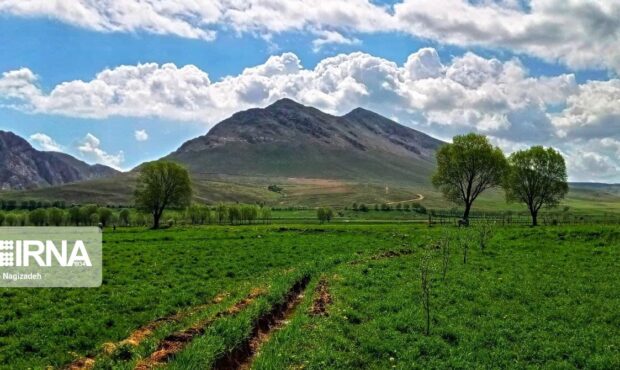 پرهیز از مصرف قارچهای وحشی و سبزیهای صحرایی ناشناخته توصیههای بهداشتی «سیزده به در» پرهیز از مصرف قارچهای وحشی و سبزیهای صحرایی ناشناخته توصیههای بهداشتی «سیزده به در»