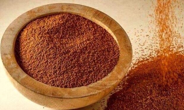 برآورد برداشت ۲۱ تن خاکشیر از ۴۲ هکتار اراضی کشاورزی شاهرود برآورد برداشت ۲۱ تن خاکشیر از ۴۲ هکتار اراضی کشاورزی شاهرود