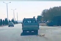 عامل حیوان‌آزاری در سمنان دستگیر شد