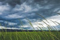 تهران؛ آسمان صاف، وزش باد و افزایش دما در راه است