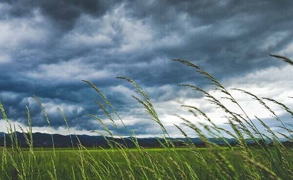تهران؛ آسمان صاف، وزش باد و افزایش دما در راه است
