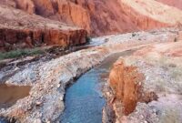 تجمع اعتراضی کشاورزان گرمسار و آرادان در جاده بنه‌کوه / مطالبه برای حق‌آبه و اصلاح دانه‌بندی گندم + فیلم