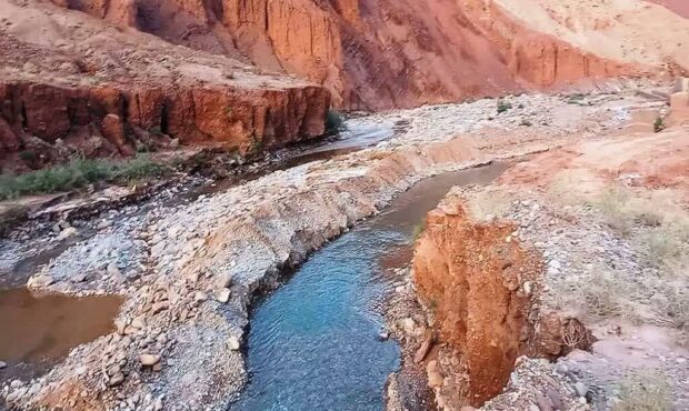 تجمع اعتراضی کشاورزان گرمسار و آرادان در جاده بنهکوه / مطالبه برای حقآبه و اصلاح دانهبندی گندم + فیلم تجمع اعتراضی کشاورزان گرمسار و آرادان در جاده بنهکوه / مطالبه برای حقآبه و اصلاح دانهبندی گندم + فیلم