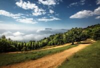 هوای آخر هفته سمنان/ موج گرما و تندبادهای لحظه‌ای در راه است