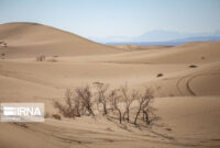 خاموش و خزنده، هجوم بیابان به سمت گرمسار خاموش و خزنده، هجوم بیابان به سمت گرمسار