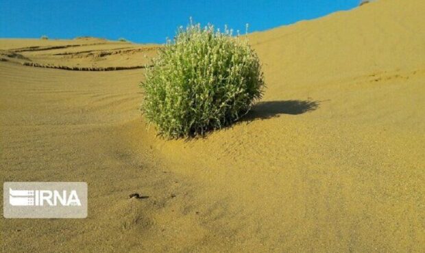 گرمسار محور تحقیقات ملی برای کشاورزی سازگار با کم‌آبی