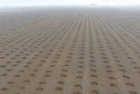 اجرای ۱۰ طرح تحقیقاتی در حوزه بیابان‌زدایی و اصلاح خاک در ایستگاه گرمسار