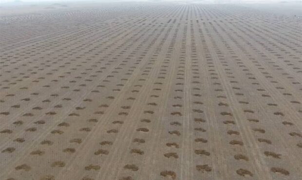 اجرای ۱۰ طرح تحقیقاتی در حوزه بیابانزدایی و اصلاح خاک در ایستگاه گرمسار اجرای ۱۰ طرح تحقیقاتی در حوزه بیابانزدایی و اصلاح خاک در ایستگاه گرمسار