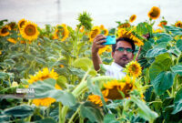 جشن هفته گردشگری در سمنان با برگزاری ۳۰ عنوان برنامه