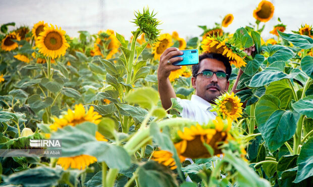 جشن هفته گردشگری در سمنان با برگزاری ۳۰ عنوان برنامه جشن هفته گردشگری در سمنان با برگزاری ۳۰ عنوان برنامه