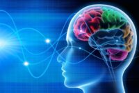 تنها پژوهشگاه علوم اعصاب شرق کشور در سمنان ایجاد می‌شود