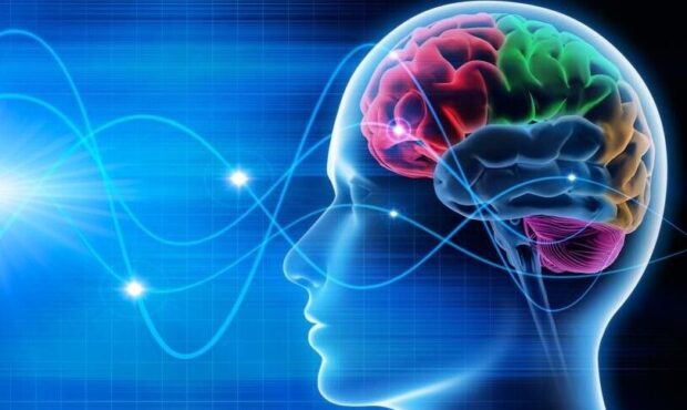 تنها پژوهشگاه علوم اعصاب شرق کشور در سمنان ایجاد می‌شود