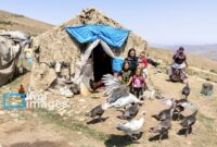 بهره‌مندی یک‌هزار و ۵۱۶ مادر روستایی دارای سه‌فرزند استان سمنان از بیمه اجتماعی رایگان