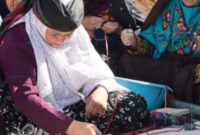 انحلال سازمان عشایر منتفی شد/ عارف گفت از عشایر پشتیبانی می‌کنیم