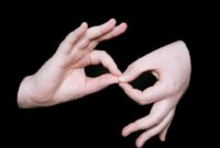 روایت همدلی در جهان بی‌صدا؛ سکوت شنوا، انسانیت را فریاد می‌زند