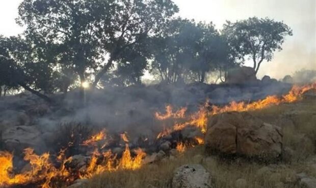 جنگل ابر شاهرود از گسترش حریق نجات یافت جنگل ابر شاهرود از گسترش حریق نجات یافت