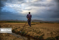 کاهش ۴۰ درصدی بارندگی در گرمسار/ کشت پاییزه با تاخیر و کمبود بذر روبه‌رو است