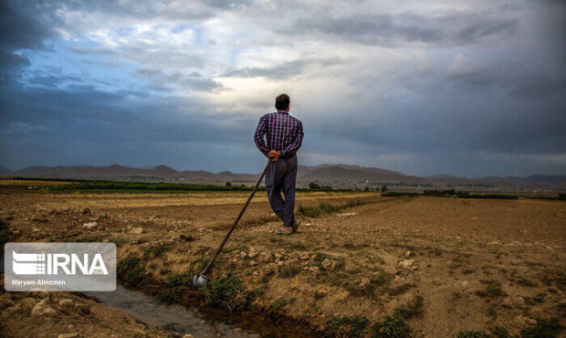 کاهش ۴۰ درصدی بارندگی در گرمسار/ کشت پاییزه با تاخیر و کمبود بذر روبه‌رو است