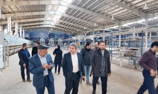 چرخ‌های اقتصاد استان سمنان در حرکت؛ نگاه ویژه به احیای واحدهای راکد