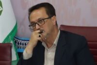 ساماندهی سگهای بلاصاحب نیازمند عزم همگانی و شهرستانی است ساماندهی سگهای بلاصاحب نیازمند عزم همگانی و شهرستانی است