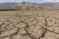 همه دشتهای سمنان در محدوده بحرانی فرونشست همه دشتهای سمنان در محدوده بحرانی فرونشست
