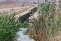 پارک خطی کوهسار در پیچ انتظار پارک خطی کوهسار در پیچ انتظار