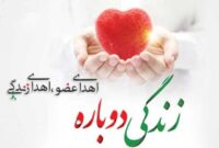 سه زندگی از دل یک اندوه متولد شدند سه زندگی از دل یک اندوه متولد شدند