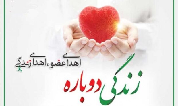 سه زندگی از دل یک اندوه متولد شدند سه زندگی از دل یک اندوه متولد شدند