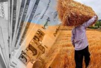 پرداخت نیمی از مطالبات گندمکاران استان سمنان پرداخت نیمی از مطالبات گندمکاران استان سمنان