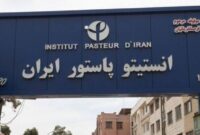 نبرد خاموش در سایه غرش جنگ نبرد خاموش در سایه غرش جنگ